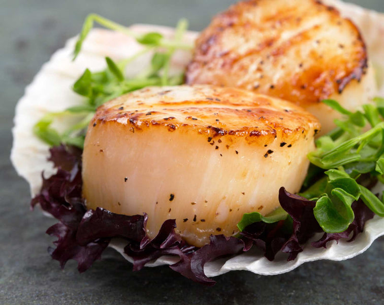 Seared Scallops with Basil Olive Oil