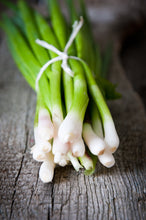 Load image into Gallery viewer, Scallion