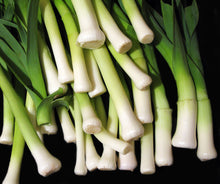 Load image into Gallery viewer, Scallions